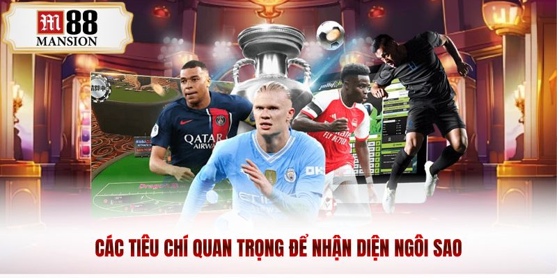 Các tiêu chí quan trọng để nhận diện ngôi sao